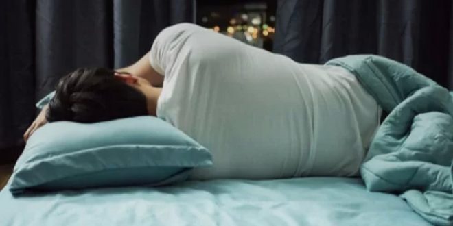 وظيفة الأحلام النوم مقابل 1500 دولار شهري ا