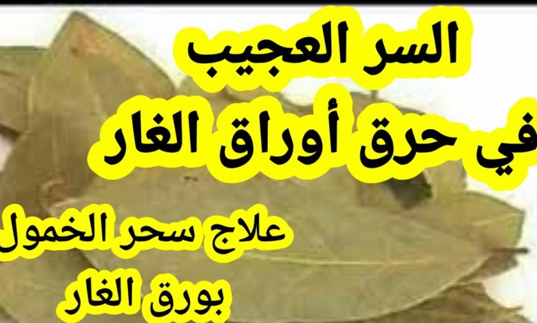 لهذه الأسباب.. عليكم حرق ورق الغار في المنزل!